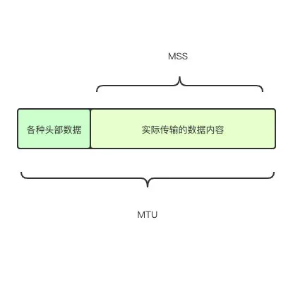 请求数据包从发送到接收，都经历了什么？