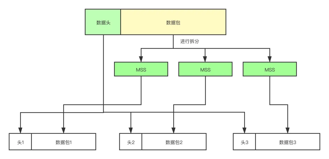 请求数据包从发送到接收，都经历了什么？