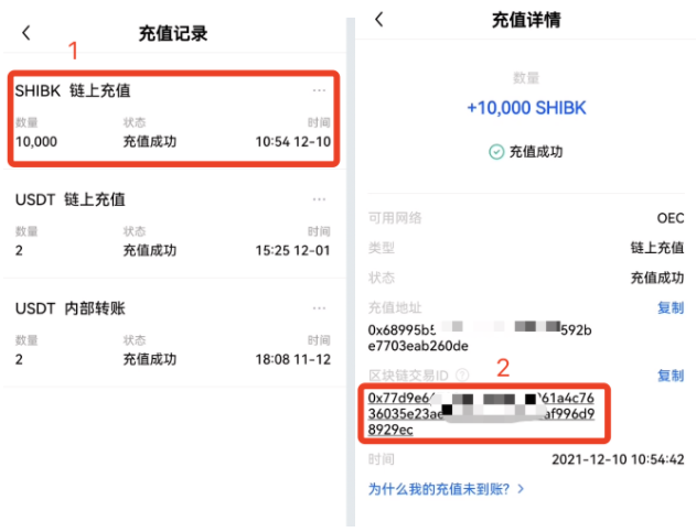 okx充值没有到账怎么办？okx怎么查看充值进度教程