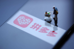 拼多多的淘客软件叫什么 拼多多小淘客怎么提现